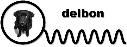 �f���{���̎ʐ^�ƃ^�C�g��